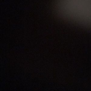 Meet your Posher, Jerry